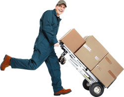 moving services