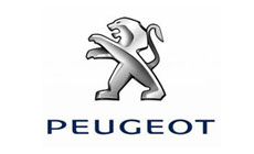 peugeot icon